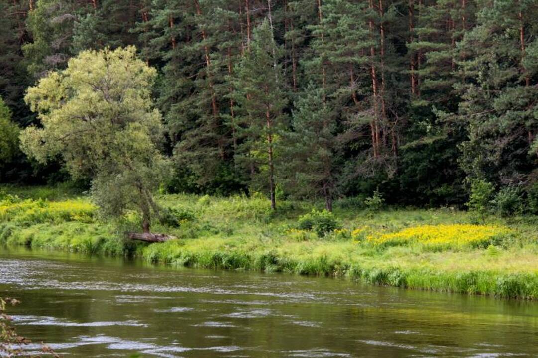 Kelionė laiku po Neries regioninį parką 