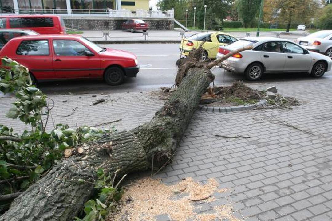 Sinoptikai: Klaipėdoje siautė labai smarki audra