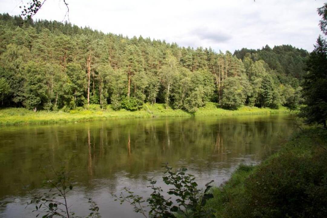 Kelionė laiku po Neries regioninį parką 