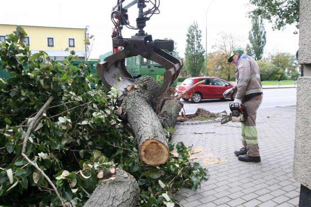 Sinoptikai: Klaipėdoje siautė labai smarki audra