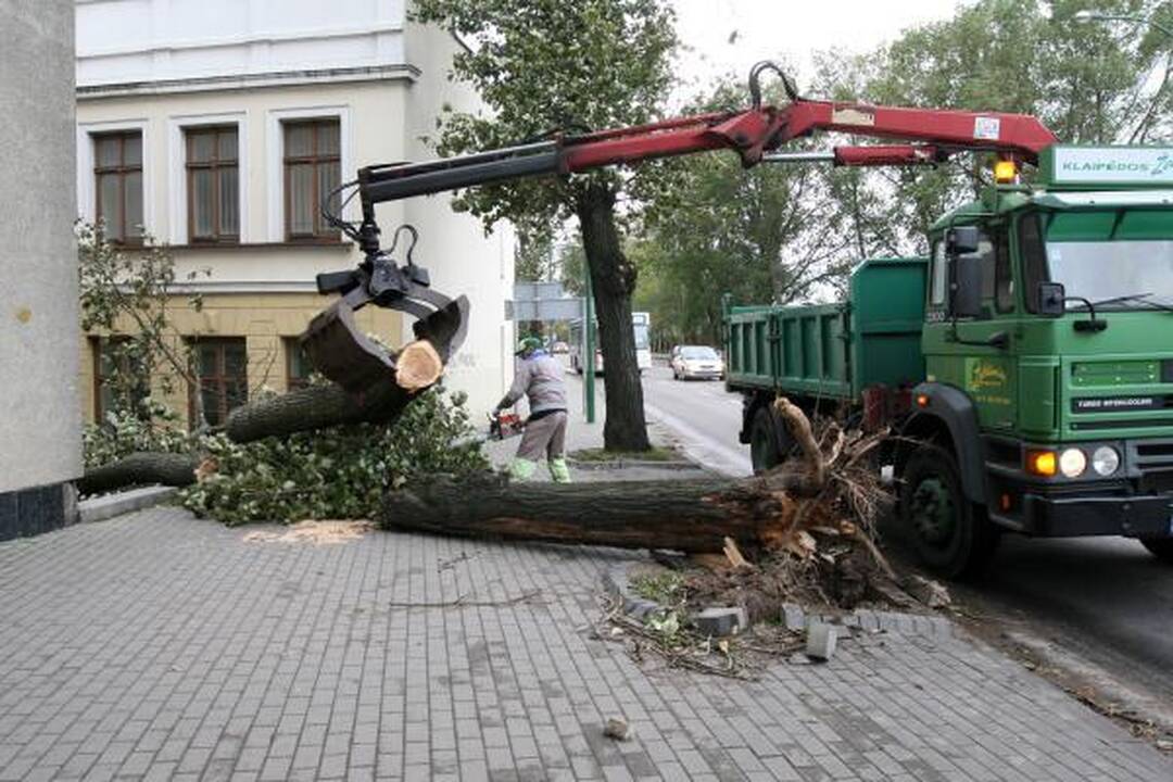 Sinoptikai: Klaipėdoje siautė labai smarki audra