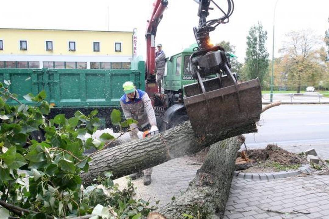 Sinoptikai: Klaipėdoje siautė labai smarki audra
