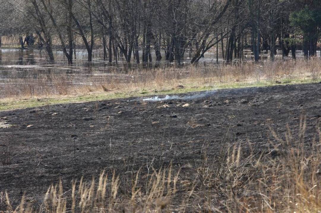 Padegėjai smaginasi: ugniagesiai vos spėja gesinti degančią žolę