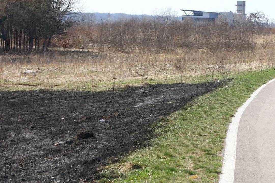 Padegėjai smaginasi: ugniagesiai vos spėja gesinti degančią žolę