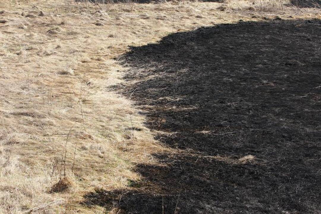 Padegėjai smaginasi: ugniagesiai vos spėja gesinti degančią žolę