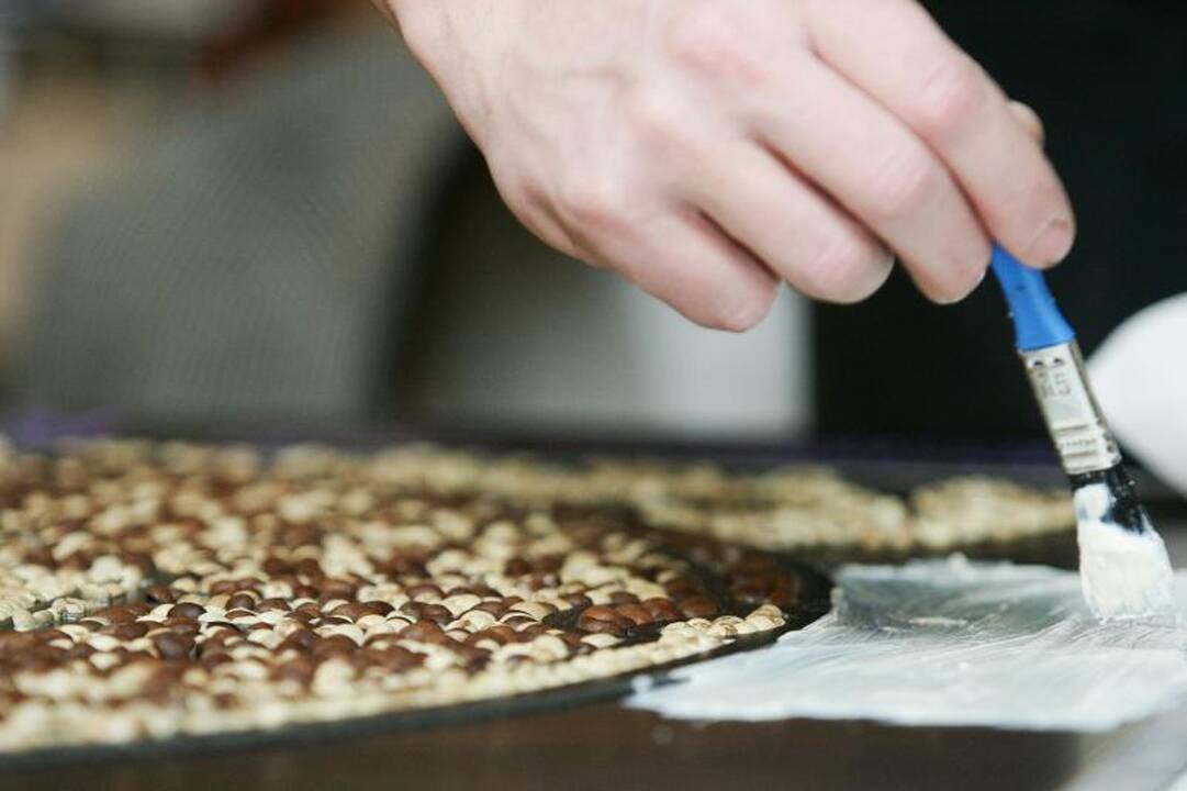 Restauruoti meno kūrinius padeda bakterijos   