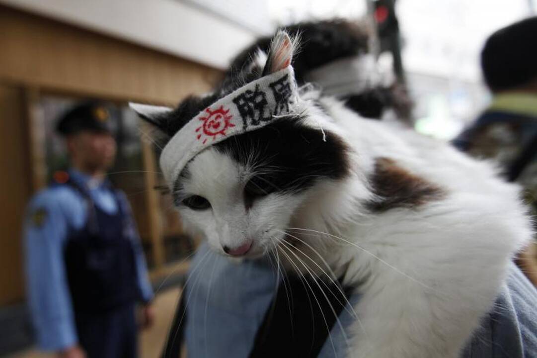 Japonijoje protestuojama prieš atominę energetiką