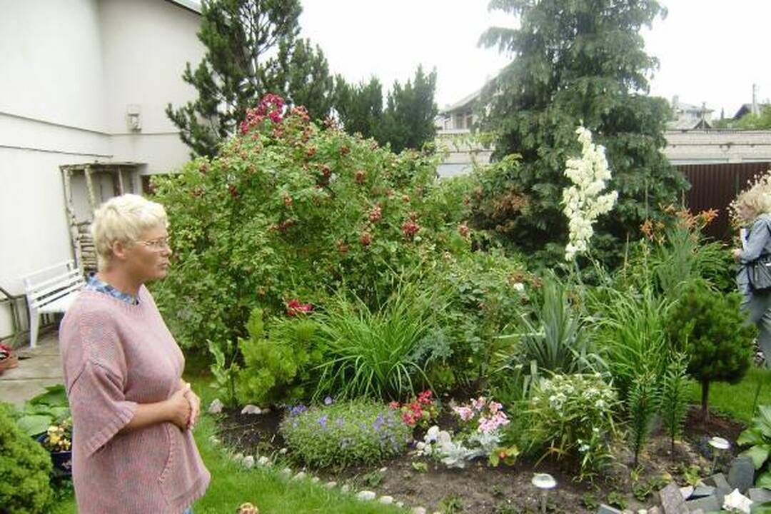 Gričiupio seniūnijoje išrinktos gražiausios sodybos