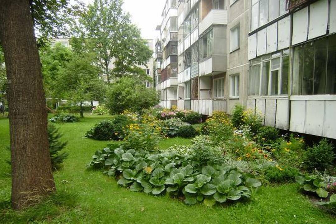 Gričiupio seniūnijoje išrinktos gražiausios sodybos