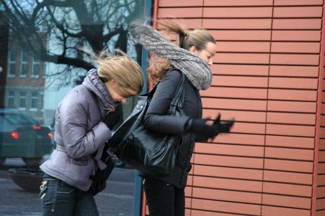Saugokitės: Lietuvoje siautės stiprus vėjas
