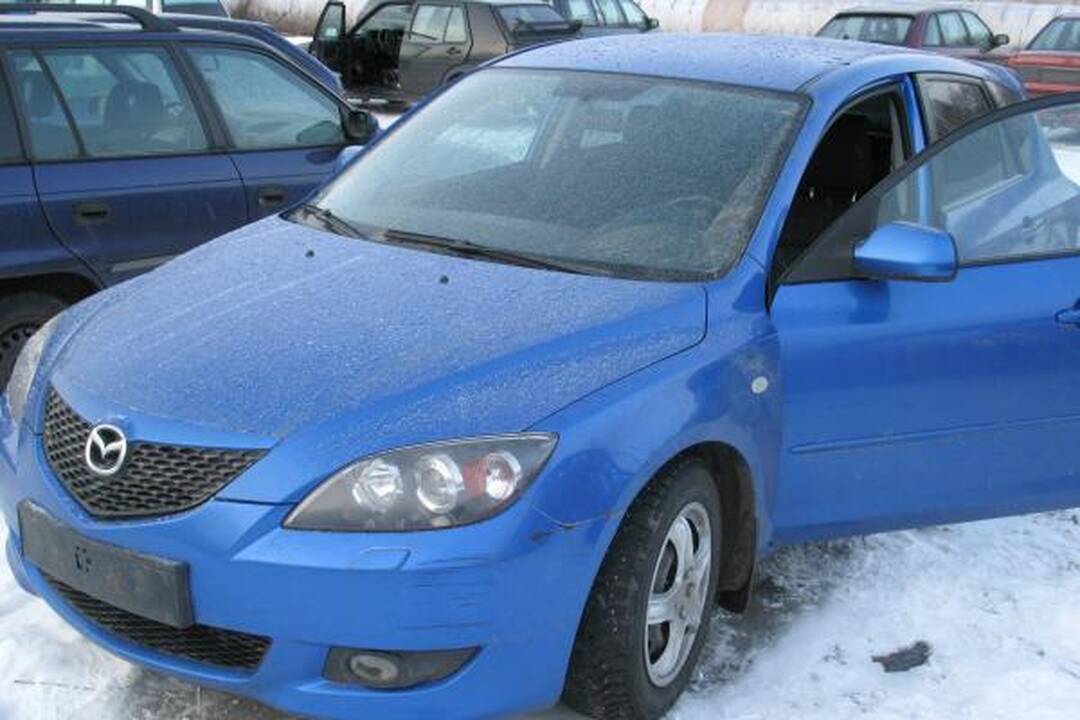 Policijos laimikis - 7 užsienyje vogti automobiliai