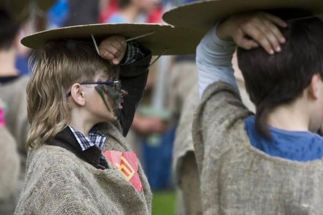 Karinė operacija Vingio parke palydėta audringais plojimais 