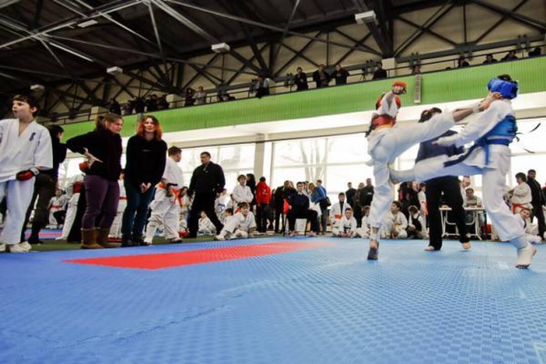 “Shodan” iš Vilniaus parsivežė 94 medalius