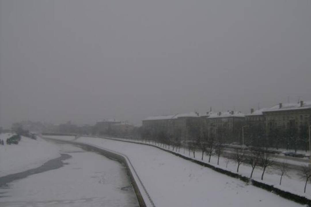 Pūgos šėlsmas Kaune