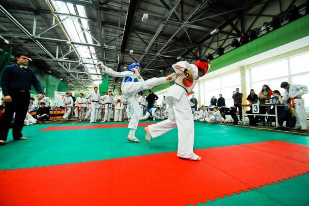 “Shodan” iš Vilniaus parsivežė 94 medalius