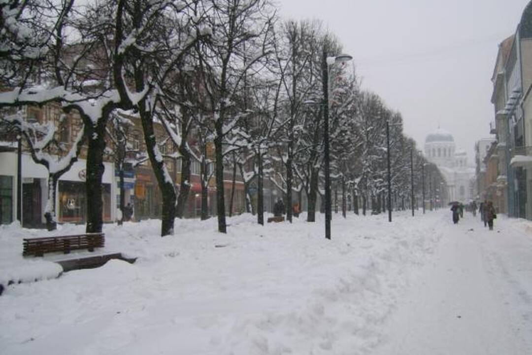Pūgos šėlsmas Kaune