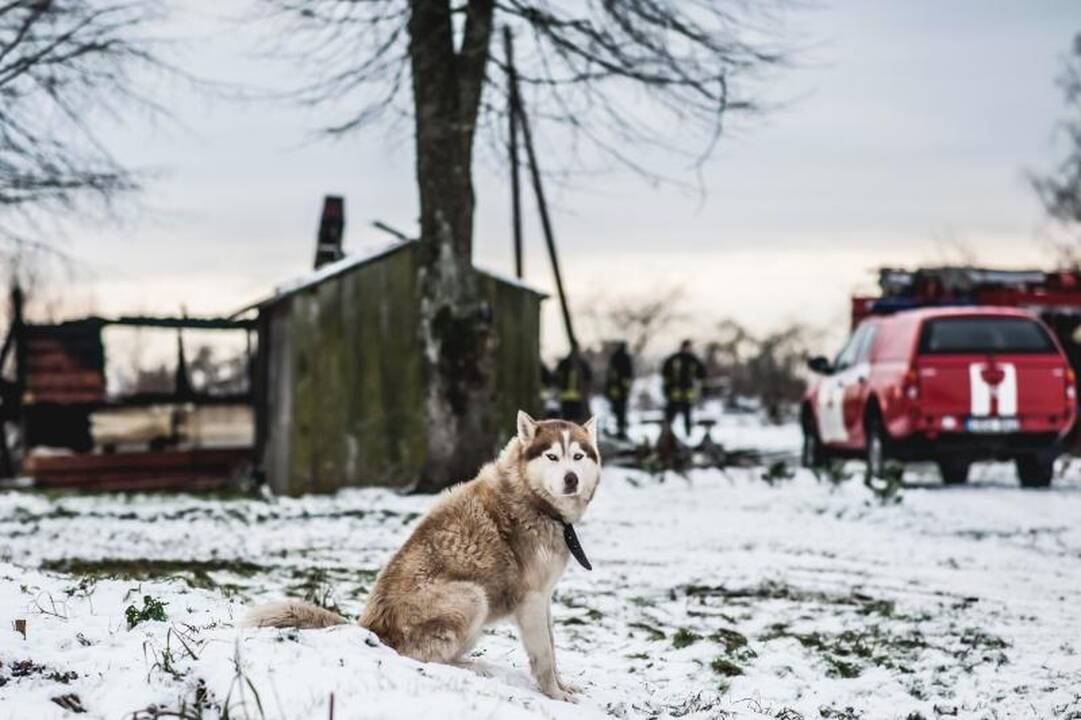 Kol šeimininkas buvo išvykęs, jo namas visiškai sudegė