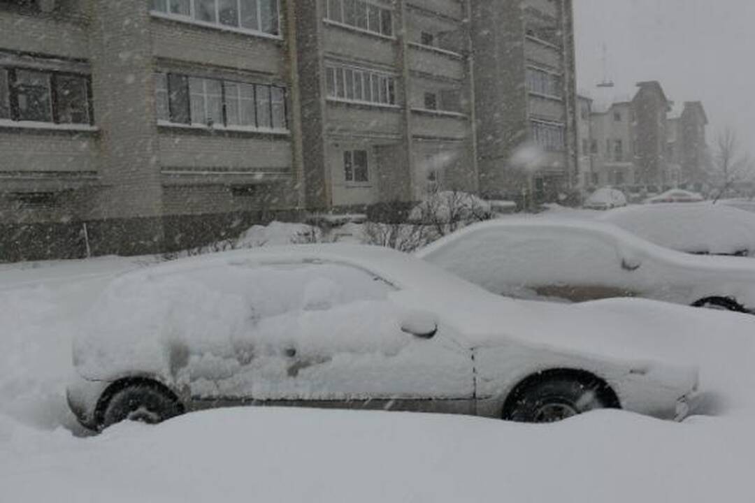 Pūgos šėlsmas Kaune
