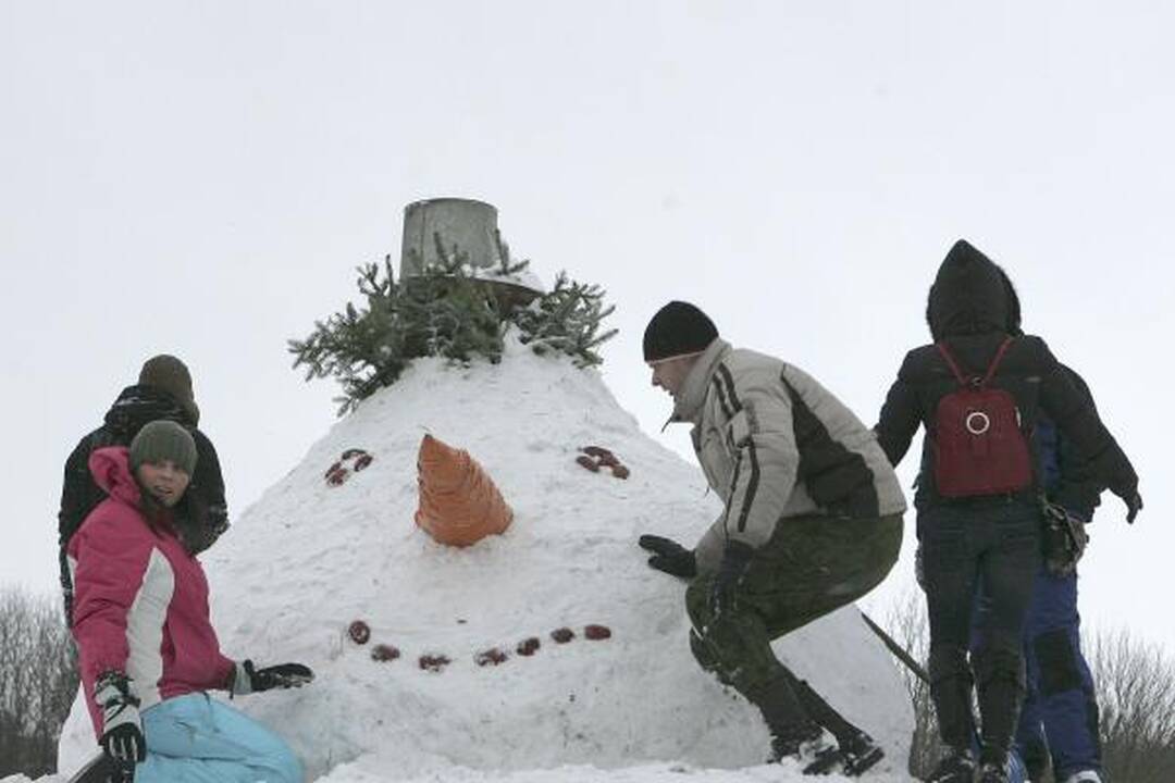 Santakoje pastatytas besmegenis milžinas 