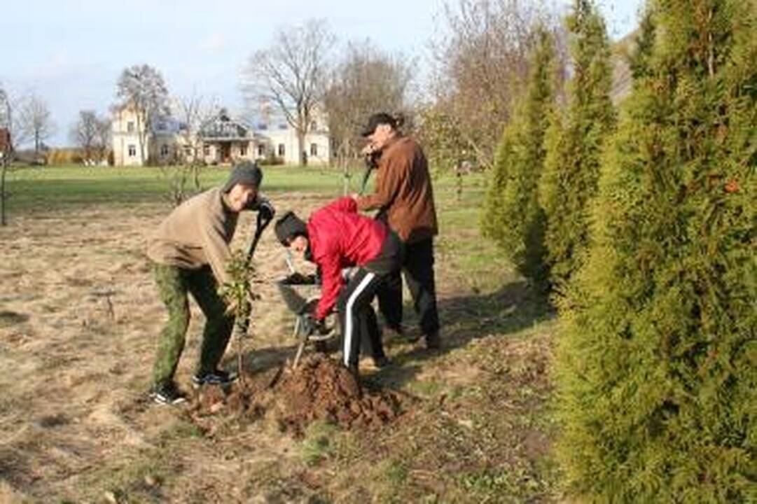 Žemaitkiemio dvare - draugų talka