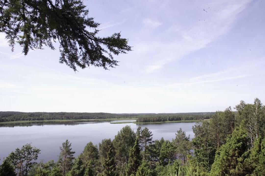 Kadagių slėnio panoramos vaikštinėjant nauju pėsčiųjų taku