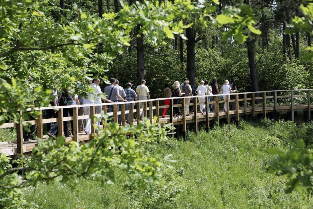 Kadagių slėnio panoramos vaikštinėjant nauju pėsčiųjų taku