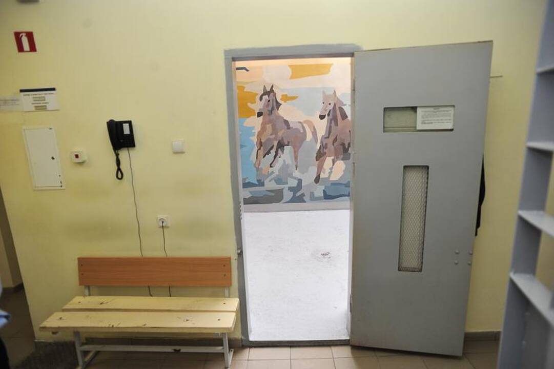 Tardymo  izoliatorių  pakeitė piešiniai 