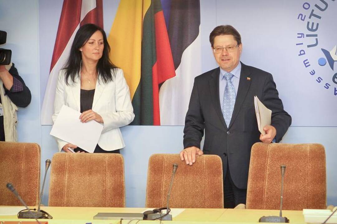 N.Venckienė: kurpiama byla siekiant neleisti išsiaiškinti tiesos