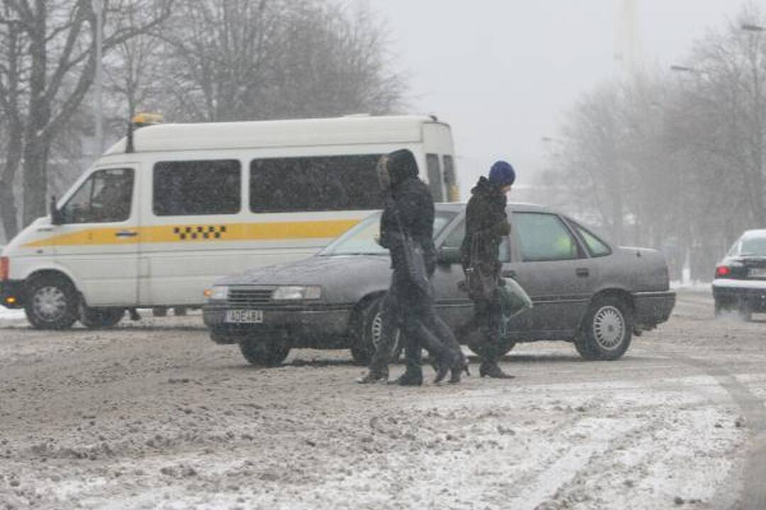 Klaipėdoje - pūga, eismo sąlygos sudėtingos