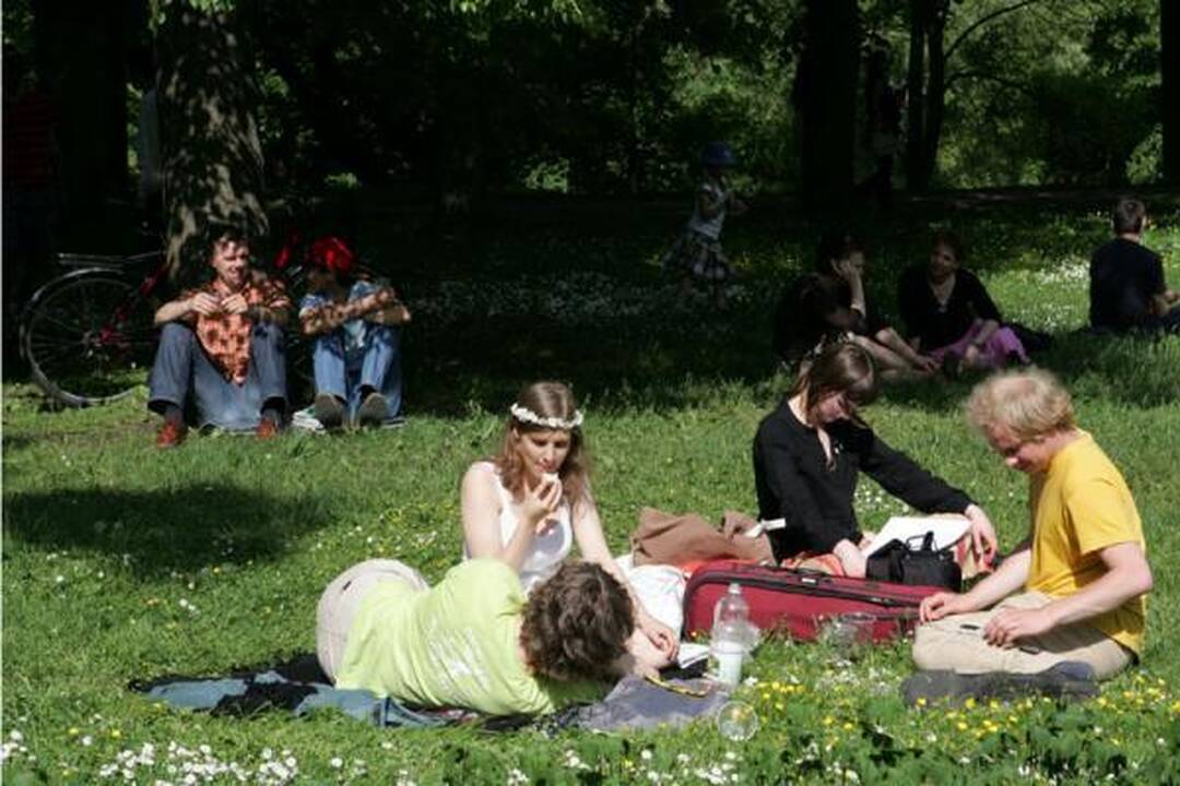 Festivalį "Skamba skamba kankliai" užpustė dulkės