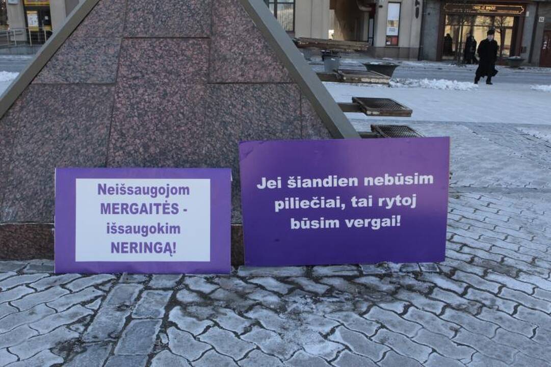 Pirmadienį prie Seimo rinkosi N. Venckienės rėmėjai
