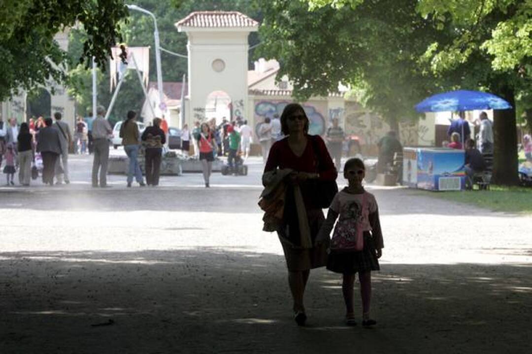 Festivalį "Skamba skamba kankliai" užpustė dulkės