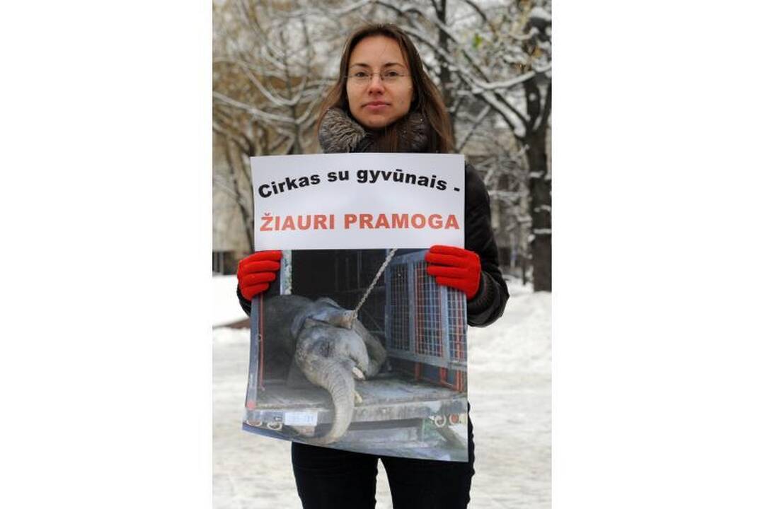 Gyvūnų teisių gynėjų renginyje - netikėtas akibrokštas su kirviu