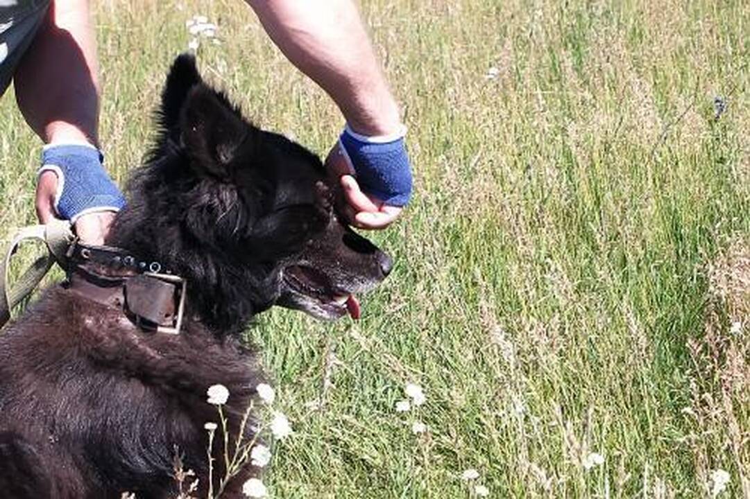 Erkės ruošiasi pavasario sezonui