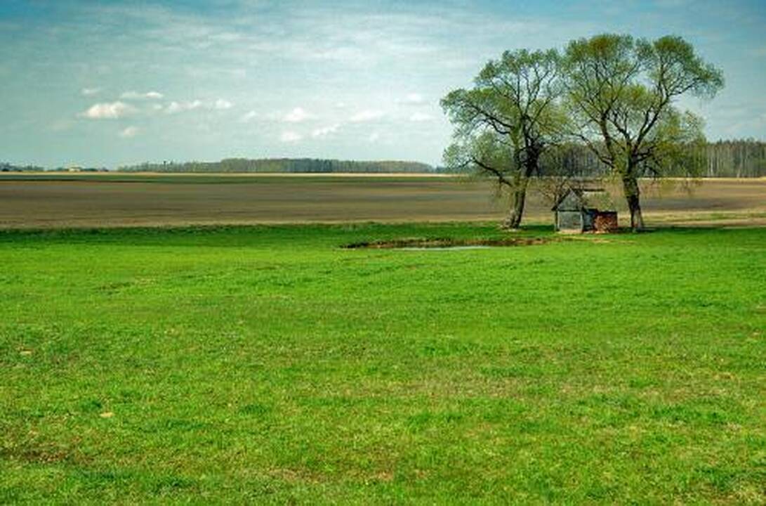 Žemės dar neparduos