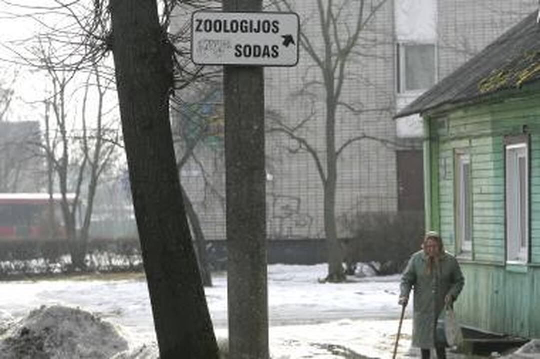 Kaune svečiui parduotuvę rasti lengviau nei Klinikas