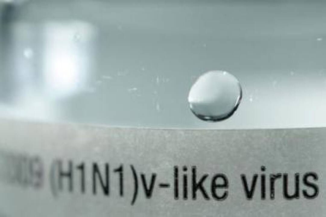 Užkratas: virusas A(H1N1), pasak gydytojų, primena ispaniškojo gripo virusą.