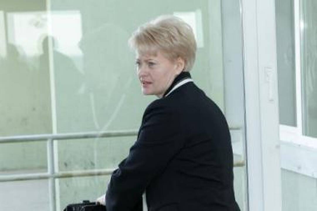 Įdomu: D.Grybauskaitė įsitikinusi, kad Belgijoje už elektrą mokama mažiau, nei Lietuvoje, nors taip nėra.