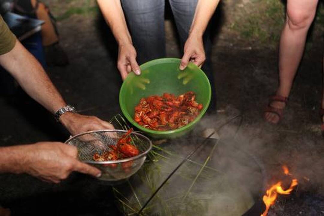 Kviečia skanauti vėžių