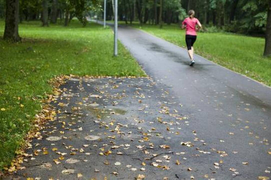 Kodėl Ąžuolyno parke nėra   suoliukų?   