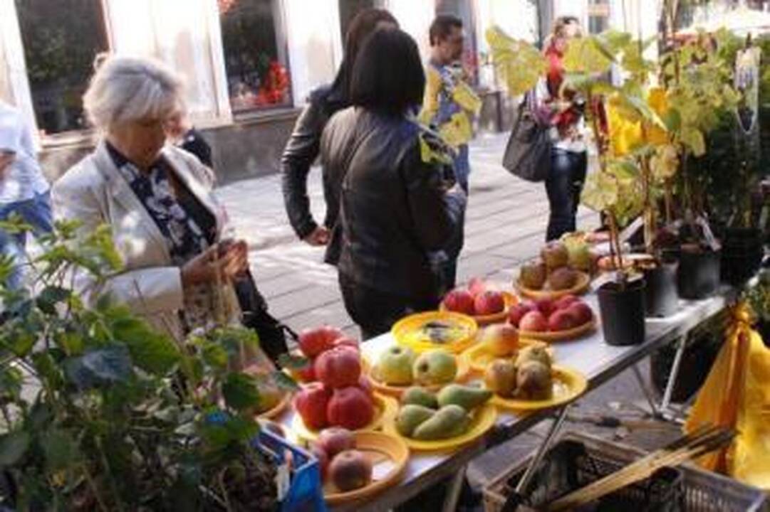 Vertybė: amatininkai pristatys kauniečiams senuosius tradicinius gaminius.