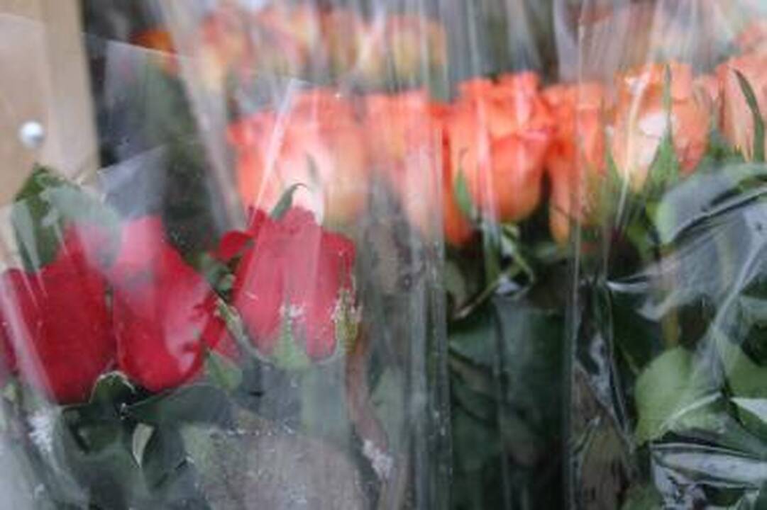 J.Veselka, R.Šilanskas, S.Skambinas, Mundis, E.Sipavičius įsitikinę, kad Kovo 8-ąją moteris sveikinti būtina.