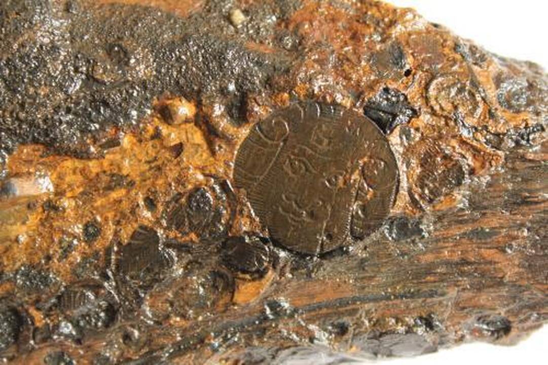 XVI a. ginkluotė perduota muziejui