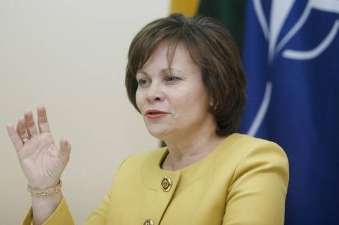Kariams išvesti prireiks milijonų