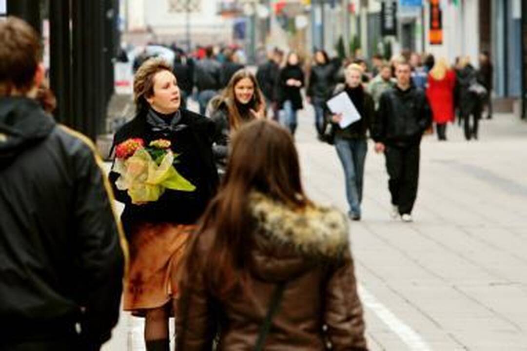 Pinigai: 10 mln. litų – tokios sumos alėjai rekonstruoti reikėtų kitiems metams.