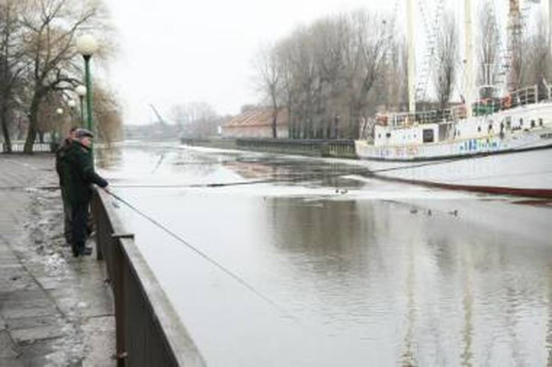 Tarša mieste nemažėja