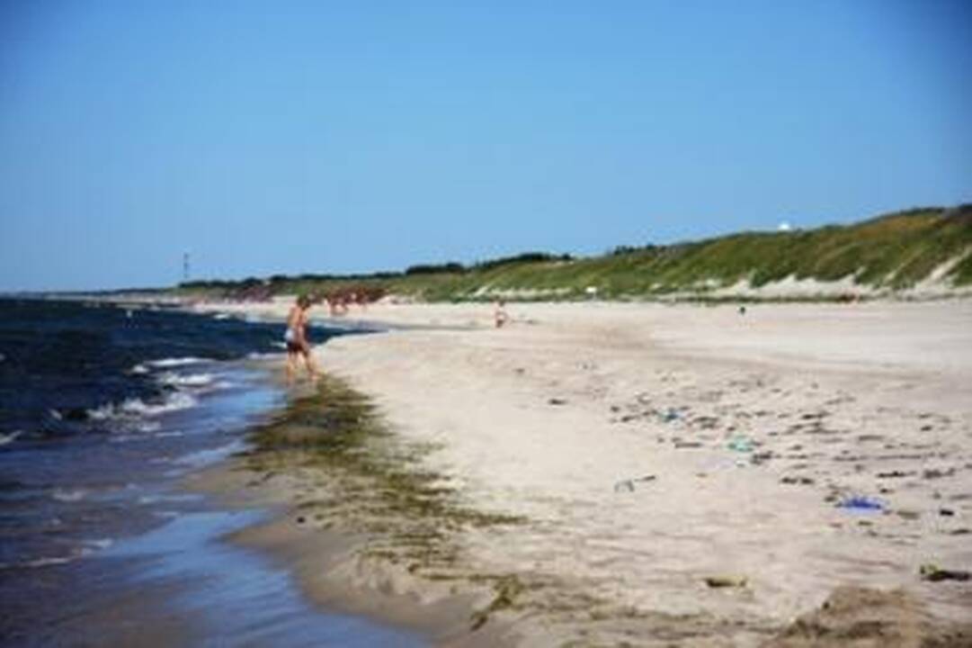 Tuščioje Palangoje – kainų viliotiniai