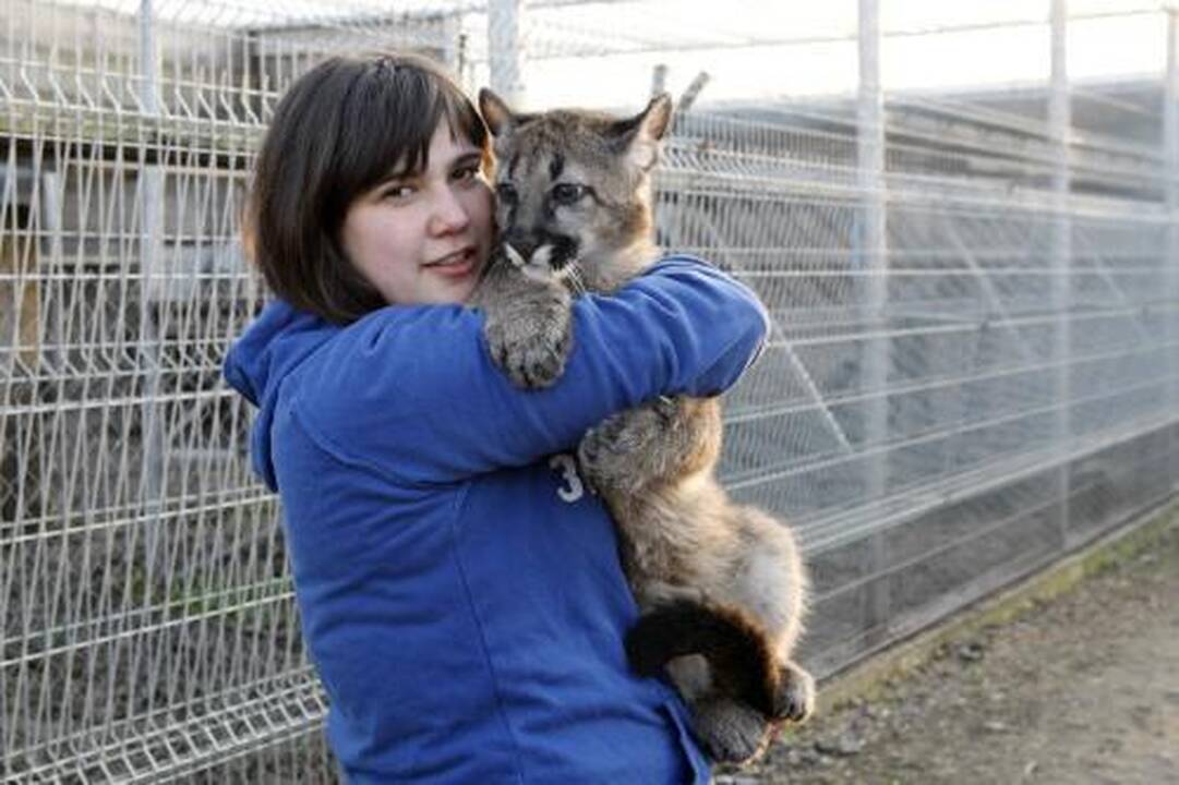 Pumos savo globėją atpažįsta iš balso