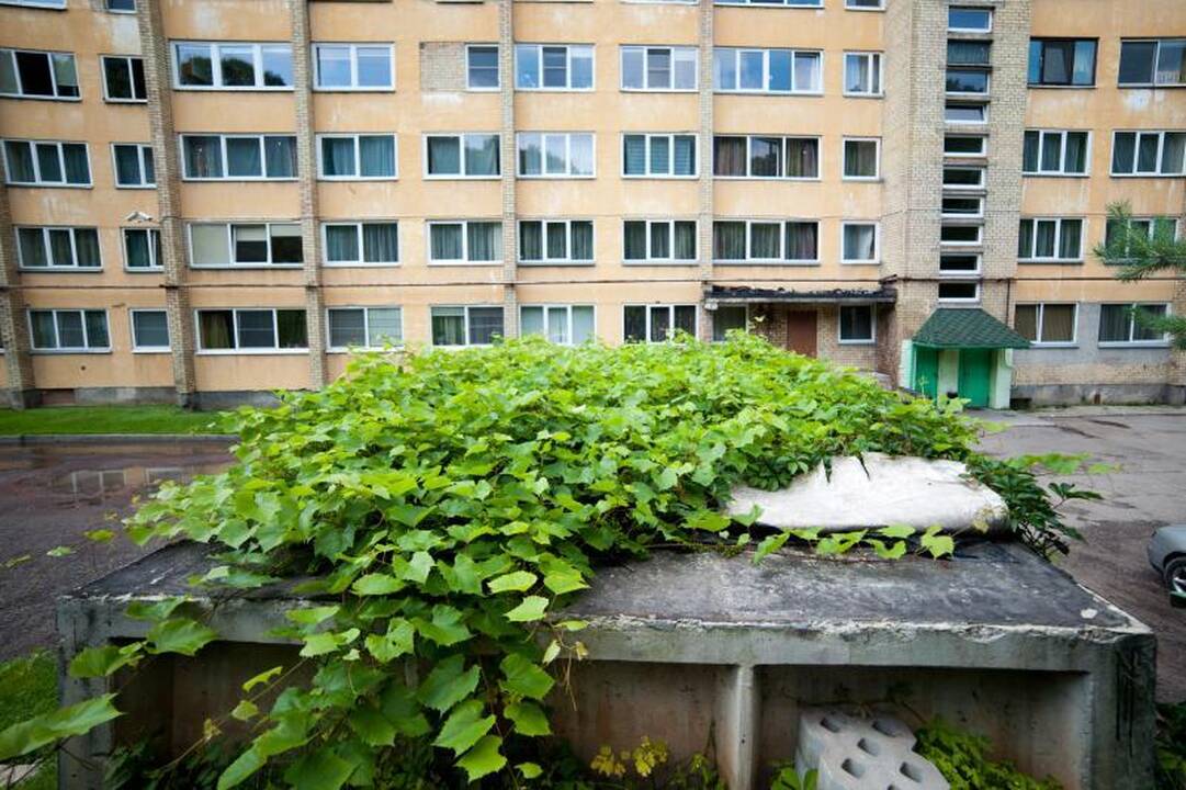Gyventojus suskaldė nelegalus garažas   