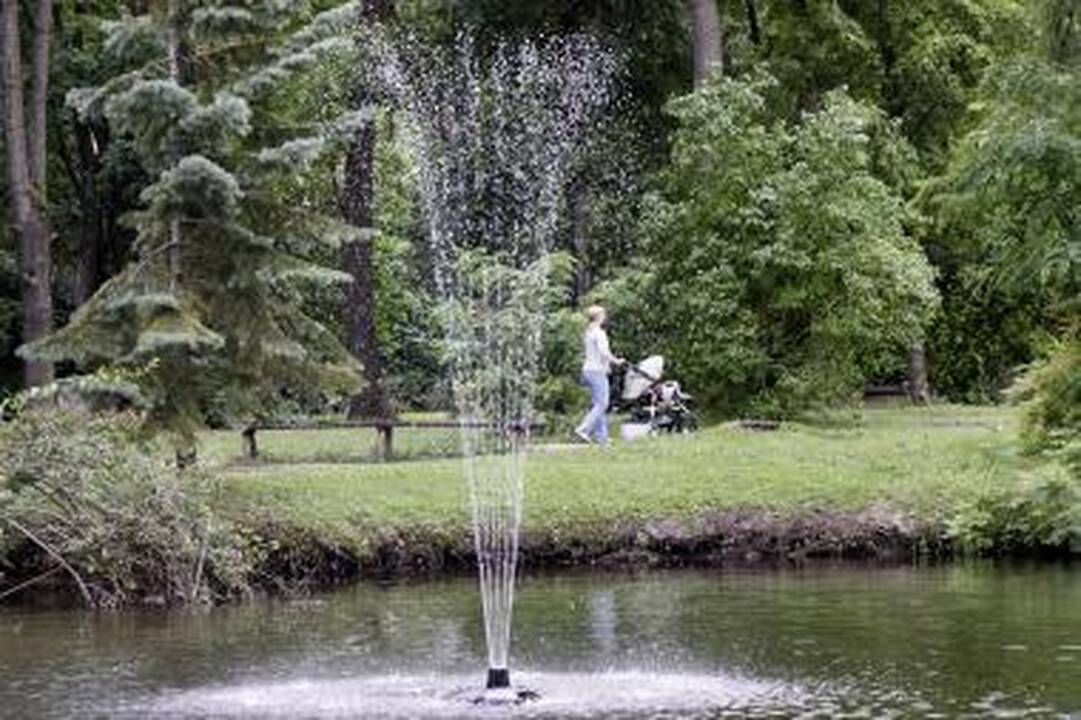 Botanikos sode atidaromas naujas fontanas
